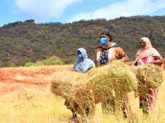 How USAID program helped Marsabit women earn Sh400, 000 from fodder farming