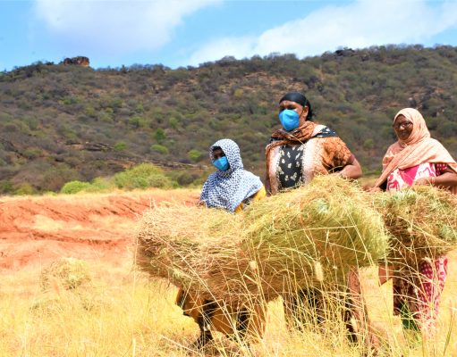 How USAID program helped Marsabit women earn Sh400, 000 from fodder farming