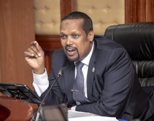 You must listen to the Gen Zs for political stability; Mandera Senator Ali Roba tells Ruto