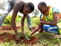 A youths greening initiative helping suppress effects of climate change